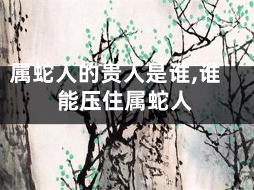 属蛇人的贵人是谁,谁能压住属蛇人