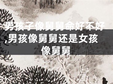 男孩子像舅舅命好不好,男孩像舅舅还是女孩像舅舅