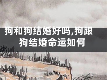 狗和狗结婚好吗,狗跟狗结婚命运如何