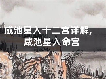 咸池星入十二宫详解,咸池星入命宫