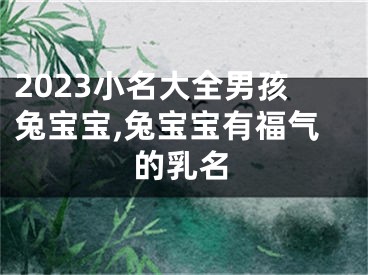 2023小名大全男孩兔宝宝,兔宝宝有福气的乳名