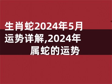 生肖蛇2024年5月运势详解,2024年属蛇的运势