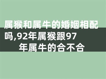 属猴和属牛的婚姻相配吗,92年属猴跟97年属牛的合不合