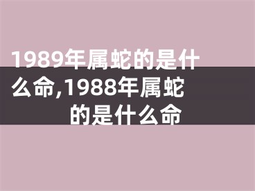 1989年属蛇的是什么命,1988年属蛇的是什么命