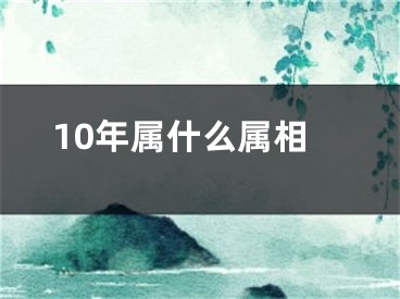 10年属什么属相