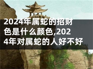 2024年属蛇的招财色是什么颜色,2024年对属蛇的人好不好