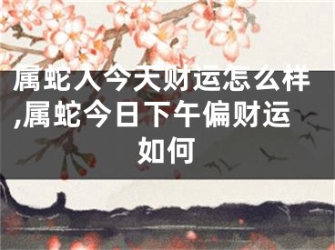属蛇人今天财运怎么样,属蛇今日下午偏财运如何