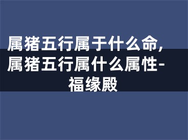 属猪五行属于什么命,属猪五行属什么属性-福缘殿