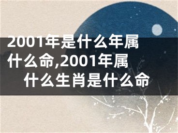 2001年是什么年属什么命,2001年属什么生肖是什么命