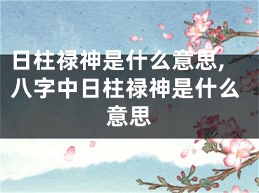 日柱禄神是什么意思,八字中日柱禄神是什么意思