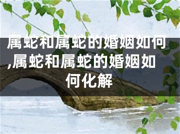 属蛇和属蛇的婚姻如何,属蛇和属蛇的婚姻如何化解