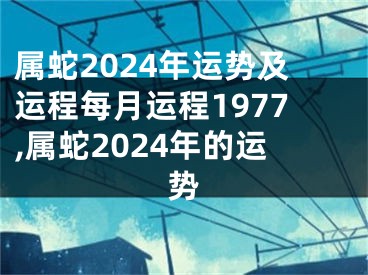 属蛇2024年运势及运程每月运程1977,属蛇2024年的运势