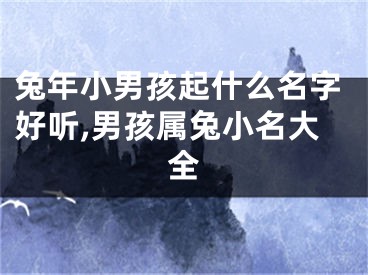 兔年小男孩起什么名字好听,男孩属兔小名大全