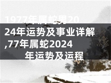 1977年属蛇男2024年运势及事业详解,77年属蛇2024年运势及运程