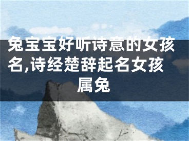 兔宝宝好听诗意的女孩名,诗经楚辞起名女孩属兔