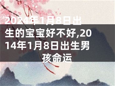 2024年1月8日出生的宝宝好不好,2014年1月8日出生男孩命运