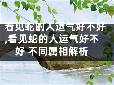 看见蛇的人运气好不好,看见蛇的人运气好不好 不同属相解析