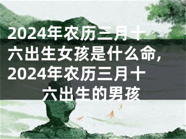 2024年农历三月十六出生女孩是什么命,2024年农历三月十六出生的男孩