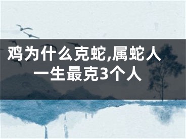 鸡为什么克蛇,属蛇人一生最克3个人