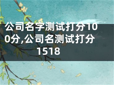 公司名字测试打分100分,公司名测试打分1518