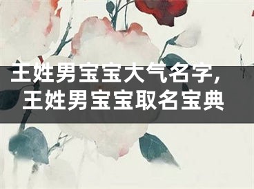 王姓男宝宝大气名字,王姓男宝宝取名宝典