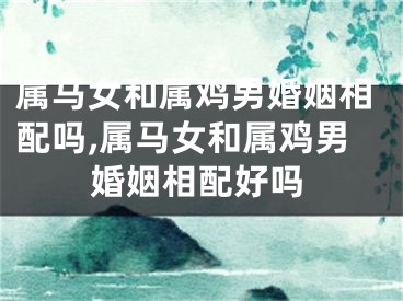 属马女和属鸡男婚姻相配吗,属马女和属鸡男婚姻相配好吗