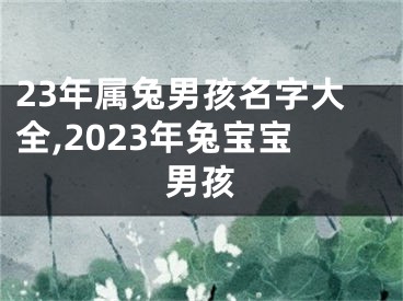 23年属兔男孩名字大全,2023年兔宝宝男孩