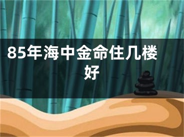 85年海中金命住几楼好