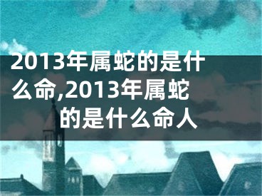 2013年属蛇的是什么命,2013年属蛇的是什么命人