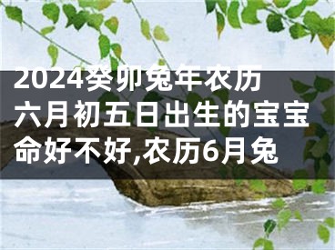 2024癸卯兔年农历六月初五日出生的宝宝命好不好,农历6月兔