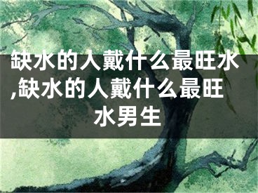 缺水的人戴什么最旺水,缺水的人戴什么最旺水男生