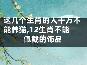 这几个生肖的人千万不能养猫,12生肖不能佩戴的饰品