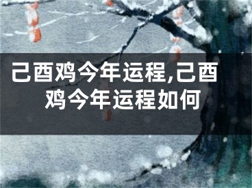 己酉鸡今年运程,己酉鸡今年运程如何
