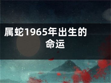 属蛇1965年出生的命运