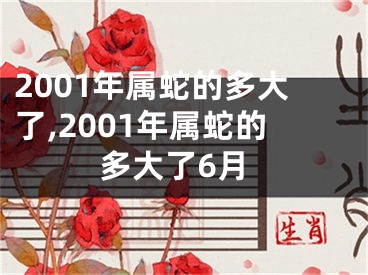 2001年属蛇的多大了,2001年属蛇的多大了6月