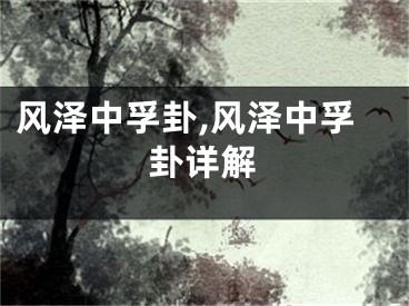 风泽中孚卦,风泽中孚卦详解
