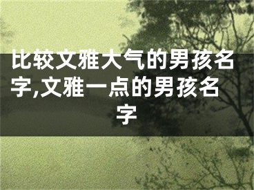 比较文雅大气的男孩名字,文雅一点的男孩名字