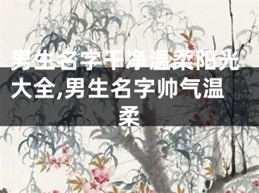 男生名字干净温柔阳光大全,男生名字帅气温柔
