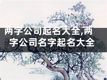 两字公司起名大全,两字公司名字起名大全