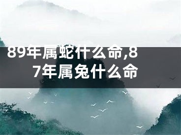 89年属蛇什么命,87年属兔什么命