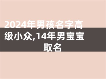 2024年男孩名字高级小众,14年男宝宝取名