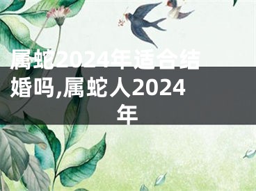 属蛇2024年适合结婚吗,属蛇人2024年
