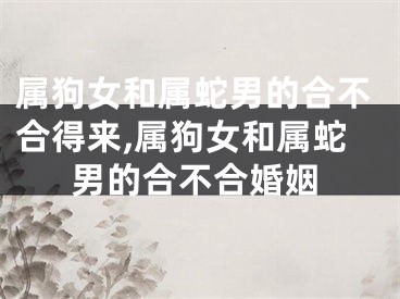属狗女和属蛇男的合不合得来,属狗女和属蛇男的合不合婚姻