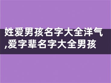 姓爱男孩名字大全洋气,爱字辈名字大全男孩