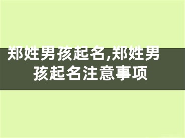 郑姓男孩起名,郑姓男孩起名注意事项
