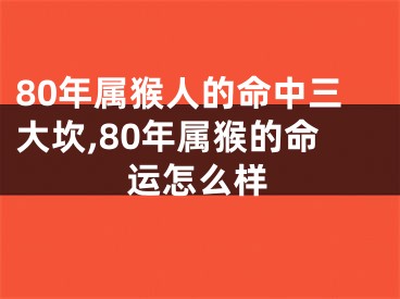 80年属猴人的命中三大坎,80年属猴的命运怎么样