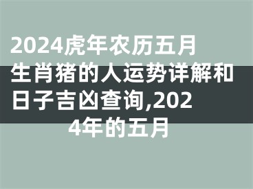 2024虎年农历五月生肖猪的人运势详解和日子吉凶查询,2024年的五月