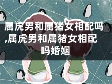 属虎男和属猪女相配吗,属虎男和属猪女相配吗婚姻