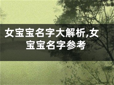 女宝宝名字大解析,女宝宝名字参考