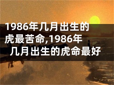 1986年几月出生的虎最苦命,1986年几月出生的虎命最好